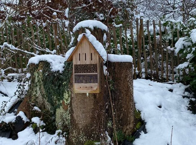 Le Retour Aux Sources - D'hote Chaleureuse Et Conviviale Affittacamere Chaudfontaine